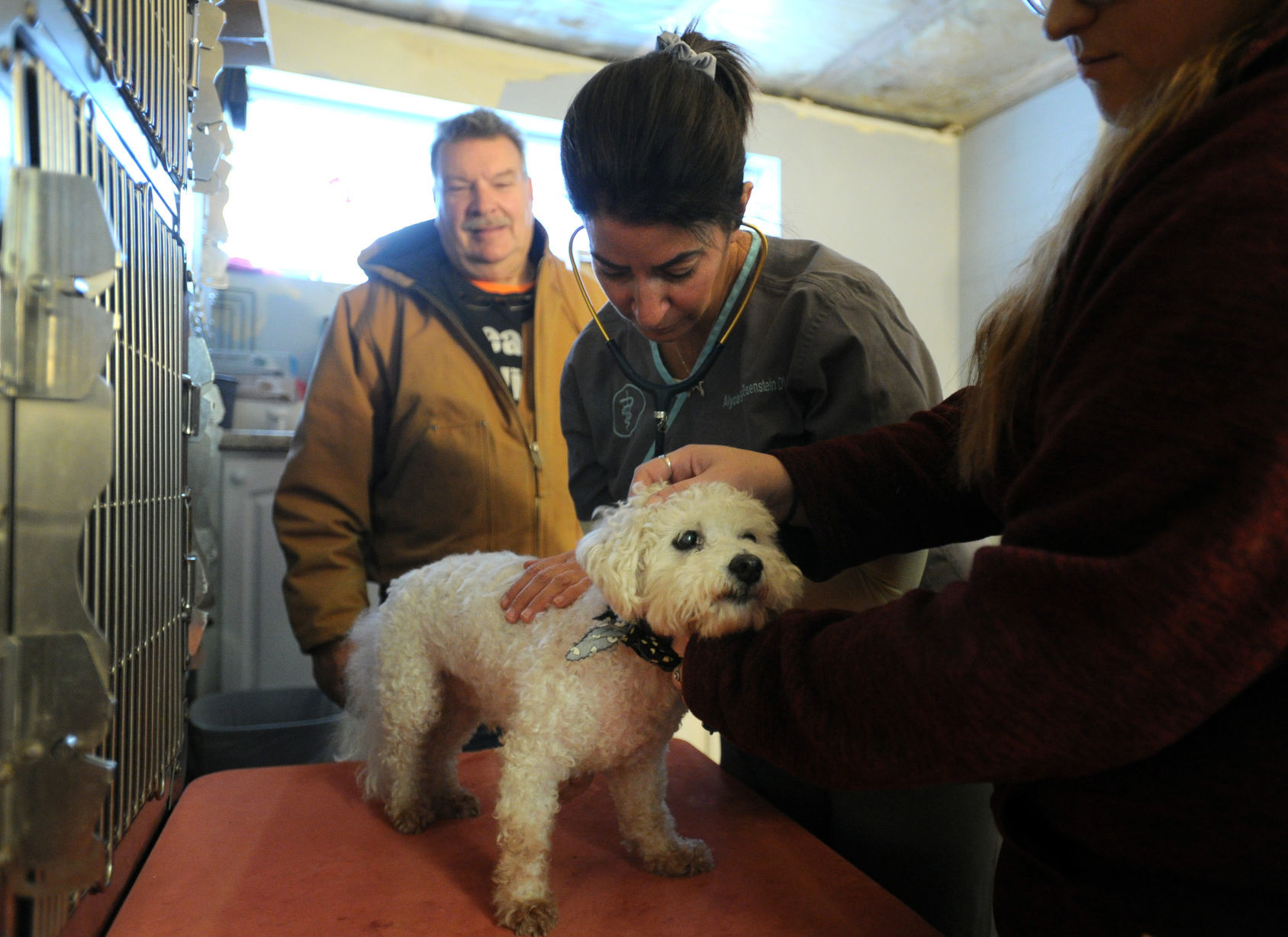 PET CLINIC